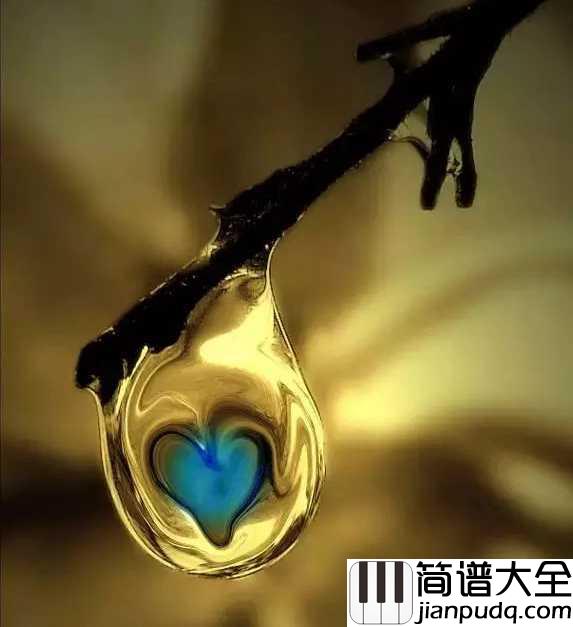 花之泪钢琴谱_Danbi_花的记忆泪的归宿