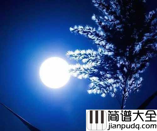 但愿人长久钢琴谱_王菲｜声音太好听，听一遍就会爱上循环