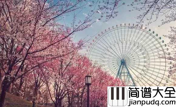 _樱花粉的浪漫｜钢琴谱_周杰伦御用制作人为二珂倾情制作，诠释初恋般飘着樱花粉的浪漫