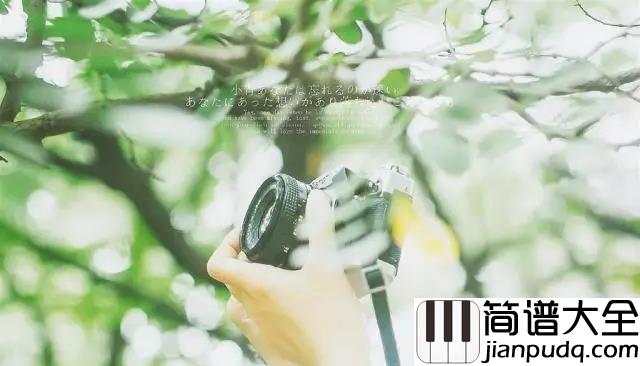 其实你不懂我的心钢琴谱_童安格_经典老歌怀旧风