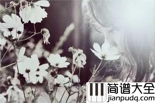 恰似你的温柔钢琴谱_蔡琴_这是一首怀念的歌曲