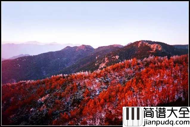 沂蒙山小调五线谱_回肠荡气的山东民歌