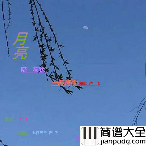 月亮陪着我一起想你简谱(歌词)_严飞