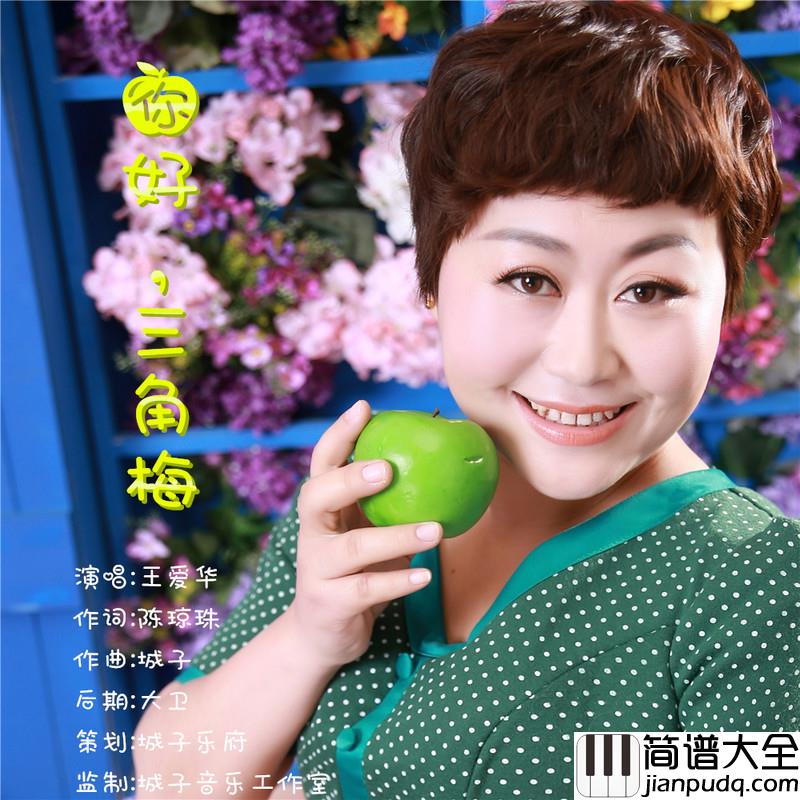 你好，三角梅简谱(歌词)_王爱华
