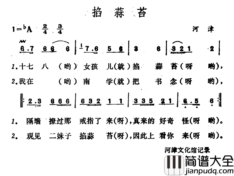 掐蒜苔_简谱_山西河津山歌