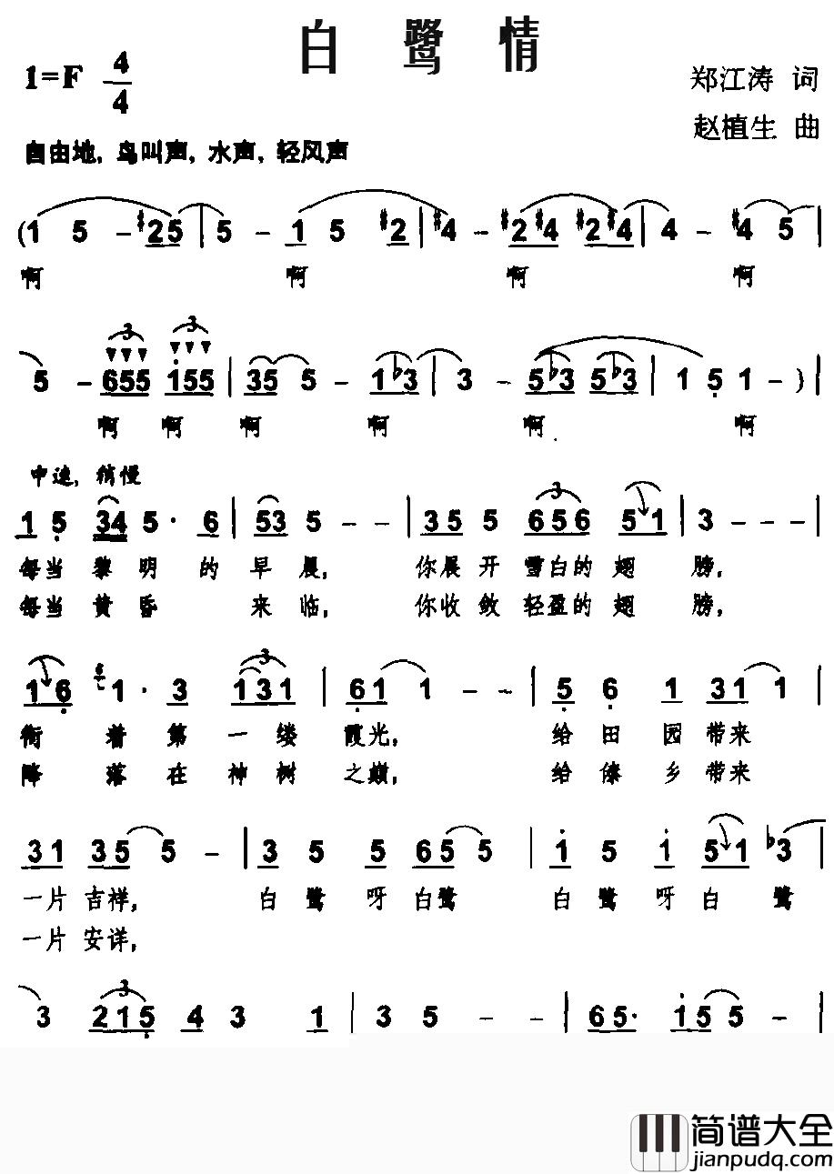 白鹭情简谱_郑江涛词/赵植生曲