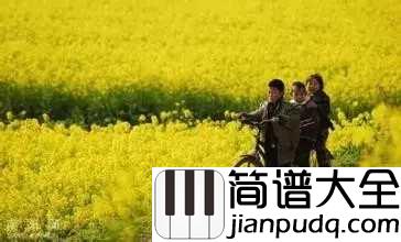 思乡曲简谱_理查德·克莱德曼_故乡，就象是缭绕在我心头的一种思绪