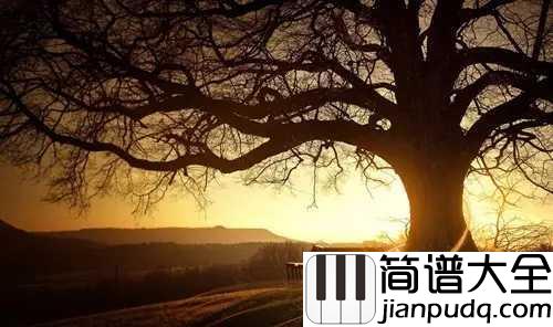 好大一棵树简谱_那英_头顶一个天_脚踏一方土