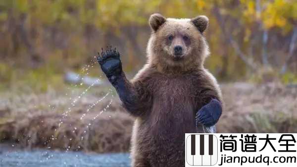 Just_Blue简谱___Space____动物世界主题曲，激昂震撼_穿透心灵!