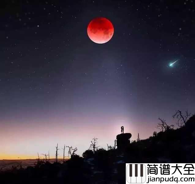 远方的寂静简谱_林海|从远方而来，寂静无声的思念