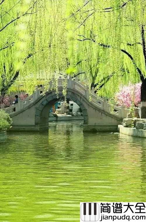 杨柳简谱_林海__半是情丝，半是愁丝，织就相思