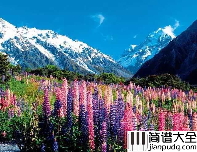 鲁冰花简谱儿歌_歌颂母爱的经典