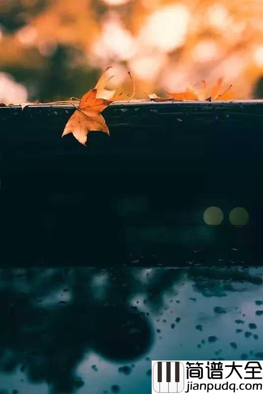 雨的印记简谱_超唯美演奏，感觉世界好安静