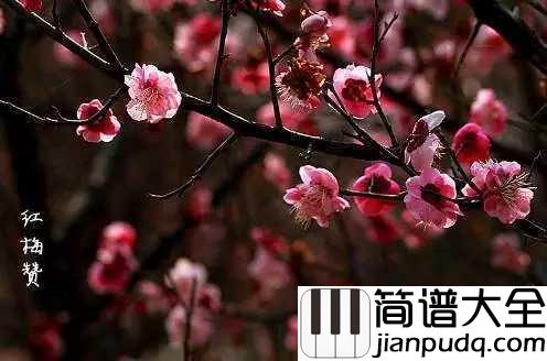 红梅赞简谱__董文华__永生难忘的红色经典歌曲
