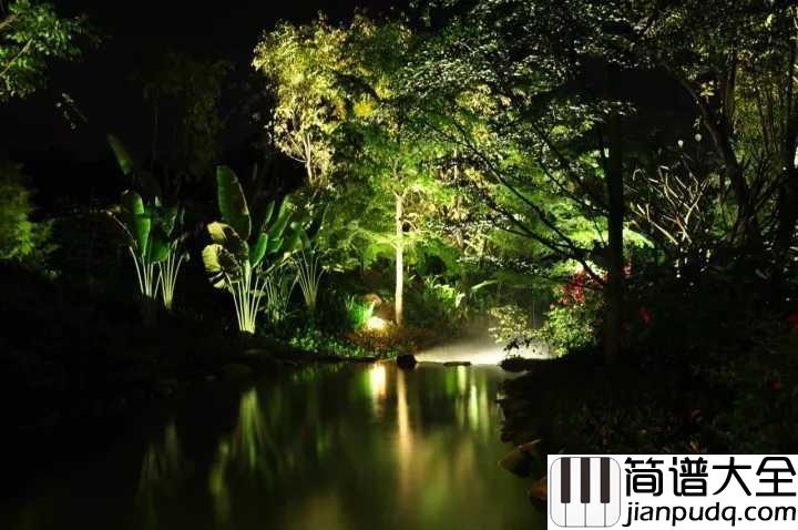 森林狂想曲简谱_吴金黛_在自然悠长的呼吸里祈盼美好