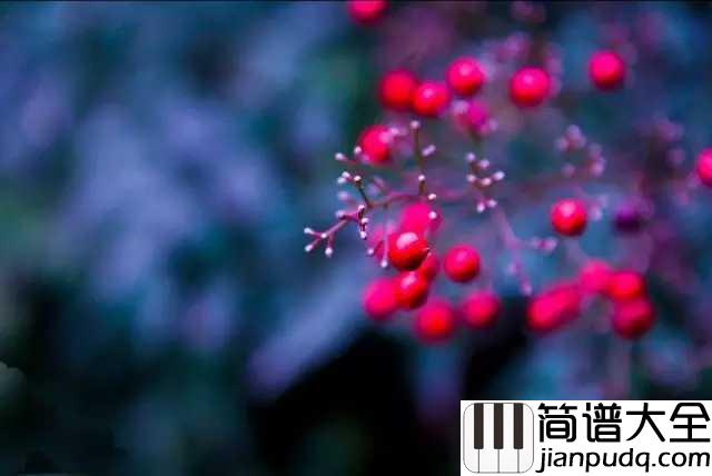相思简谱_毛阿敏_最肯忘却古人诗，最不屑一顾是相思