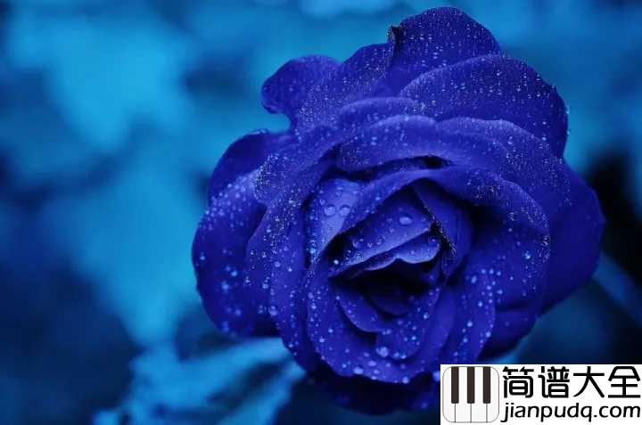蓝色的爱简谱_理查德克莱德曼_置身于烟波浩瀚的蓝色音乐世界里