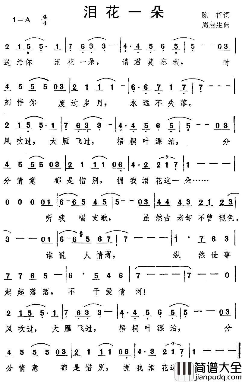 泪花一朵简谱_陈哲词/周启生曲