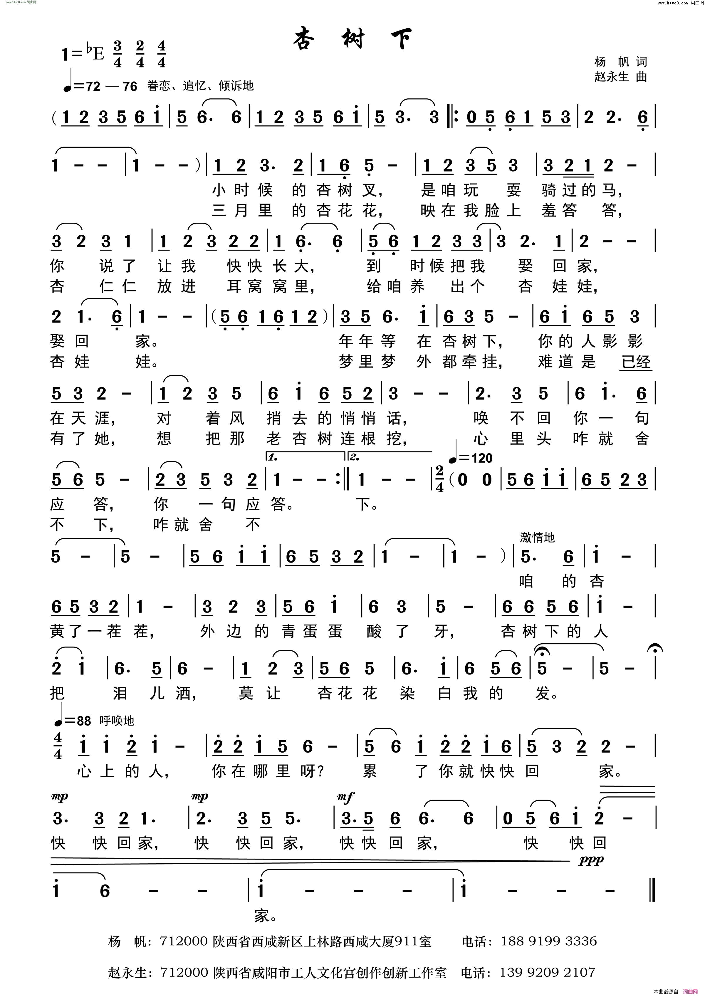 杏树下简谱