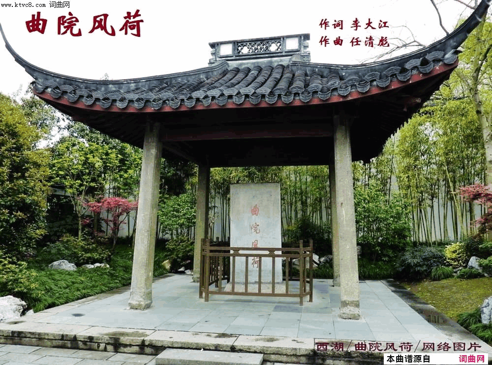 曲院风荷简谱