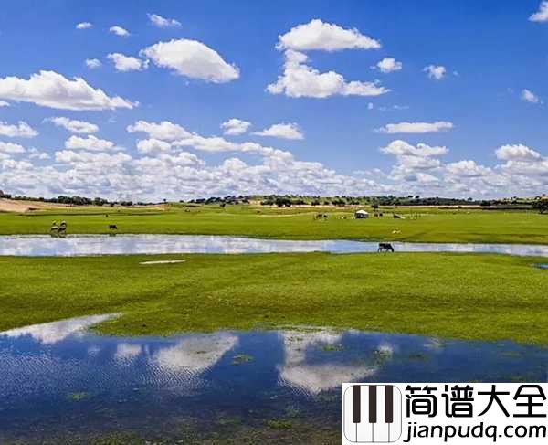 天下最美的草原简谱_哈桑_梦开始的地方
