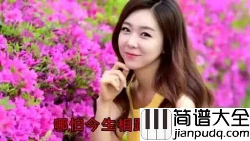 最牵挂的你简谱_风语_回忆往昔，我的身边没有你