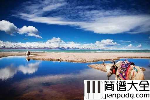 天籁之爱简谱_旺姆_谁在用天籁之音传递爱