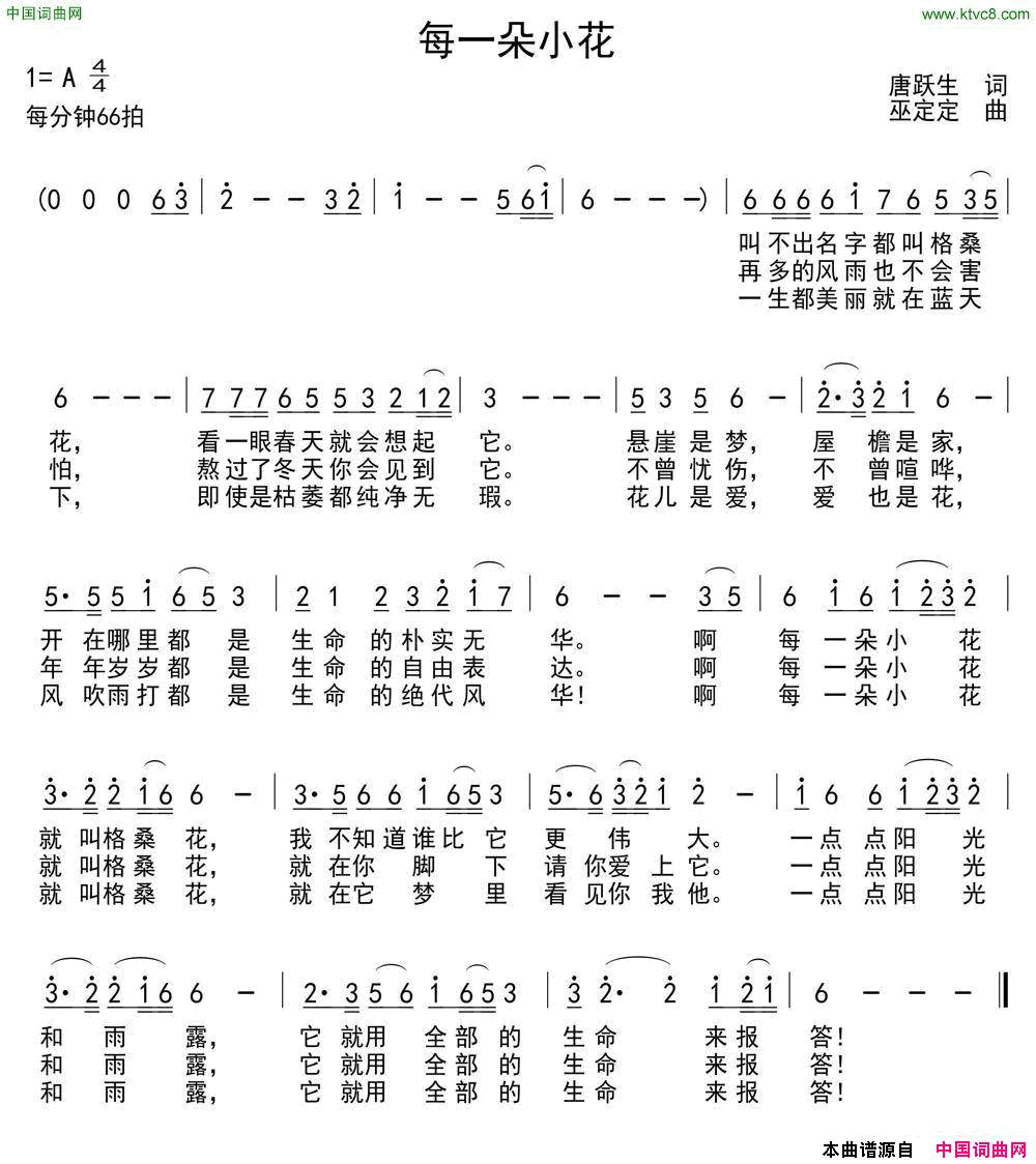 每一朵小花简谱