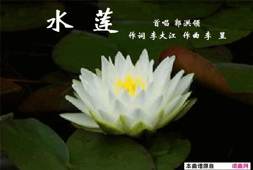 水莲郭洪领唱、李昱曲简谱_郭洪领演唱_李大江/李昱词曲