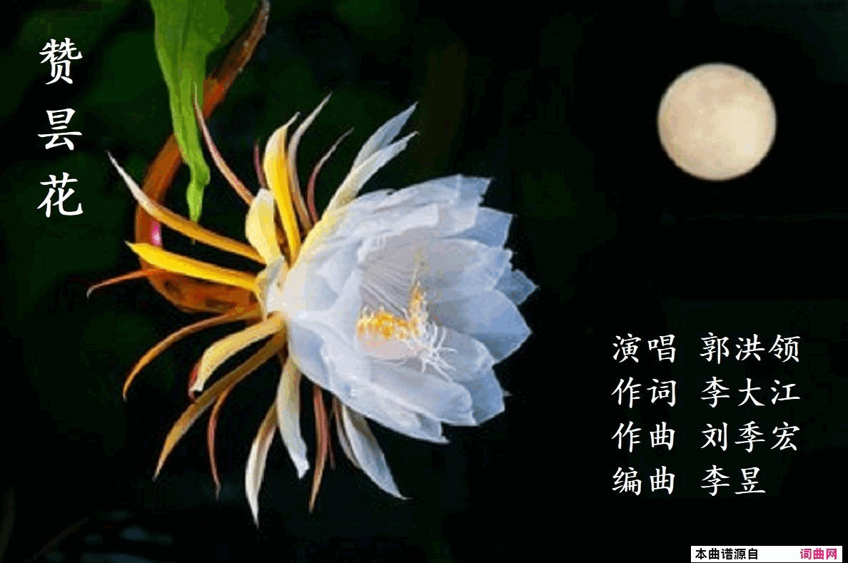 昙花赞郭洪领唱_刘季宏曲_李昱编曲简谱_郭洪领演唱_李大江/刘季宏词曲