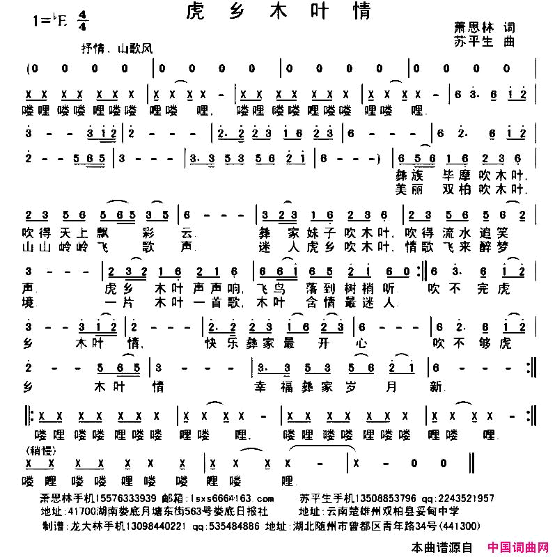 虎乡木叶情简谱