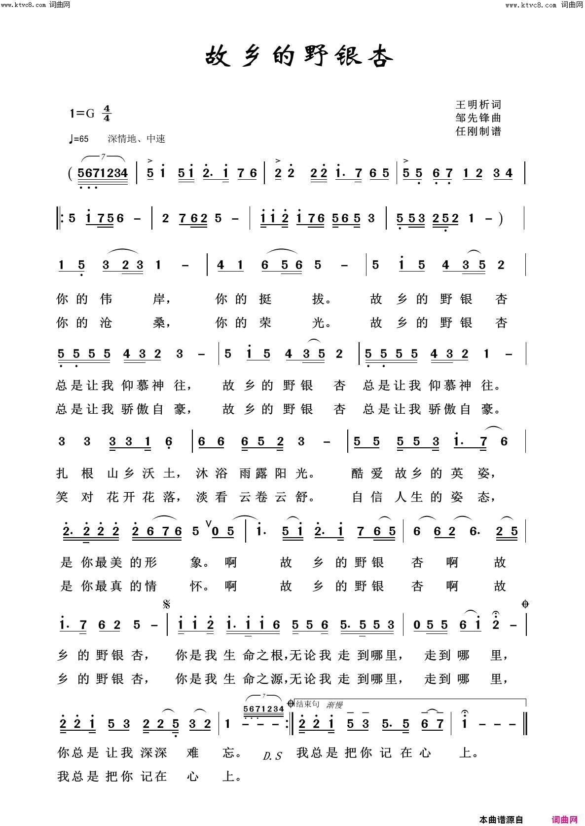 故乡的野银杏故乡之恋简谱