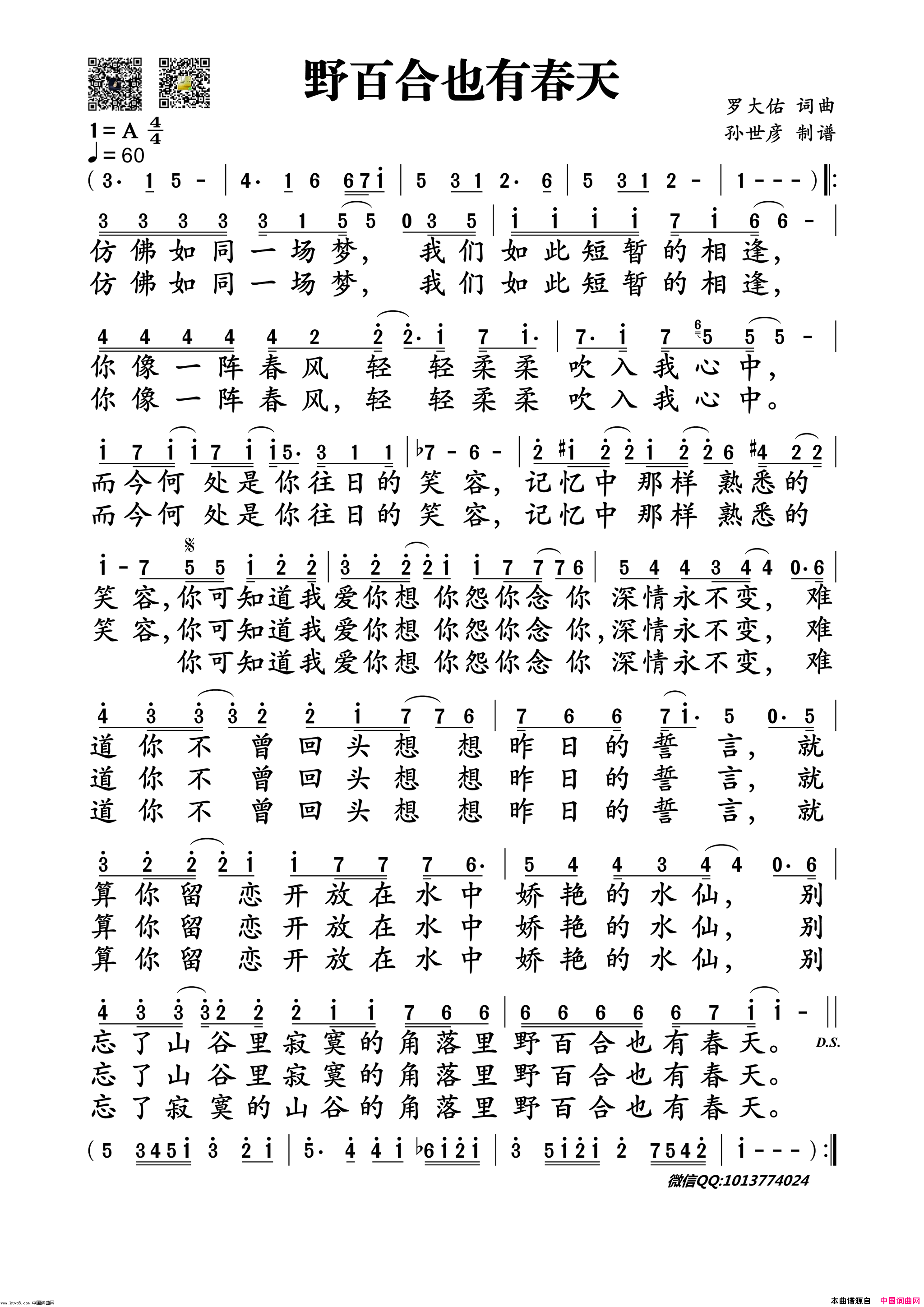 野百合也有春天简谱