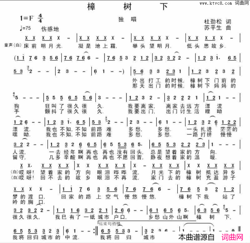 樟树下简谱