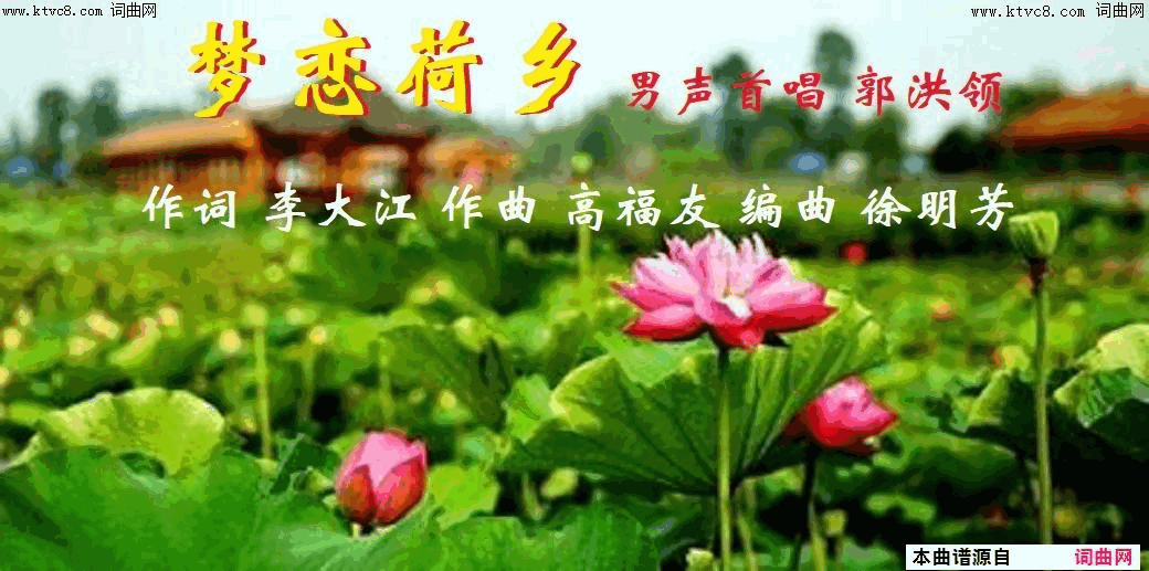 梦恋荷乡简谱_郭洪领演唱_李大江/高福友词曲