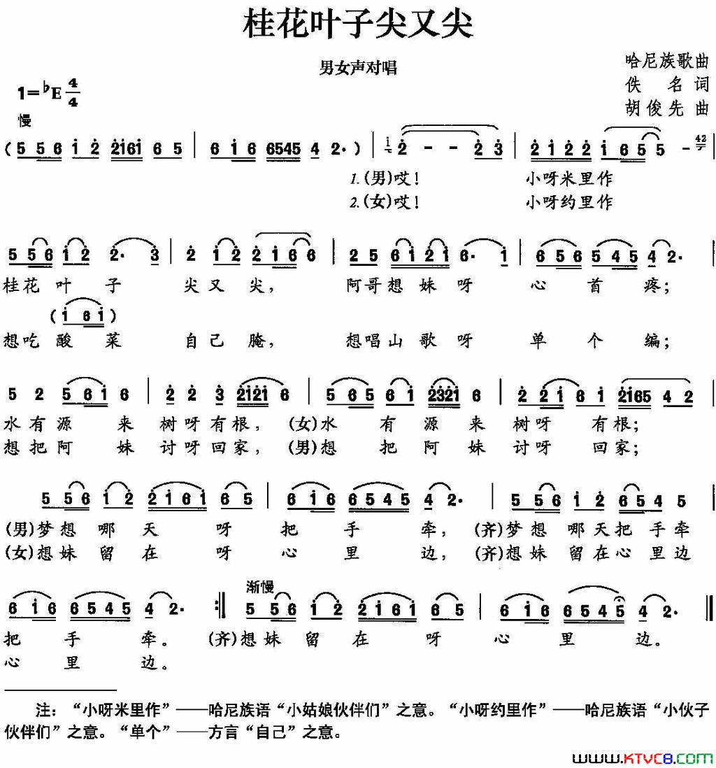 桂花叶子尖又尖简谱