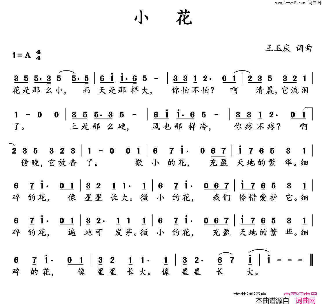小花简谱