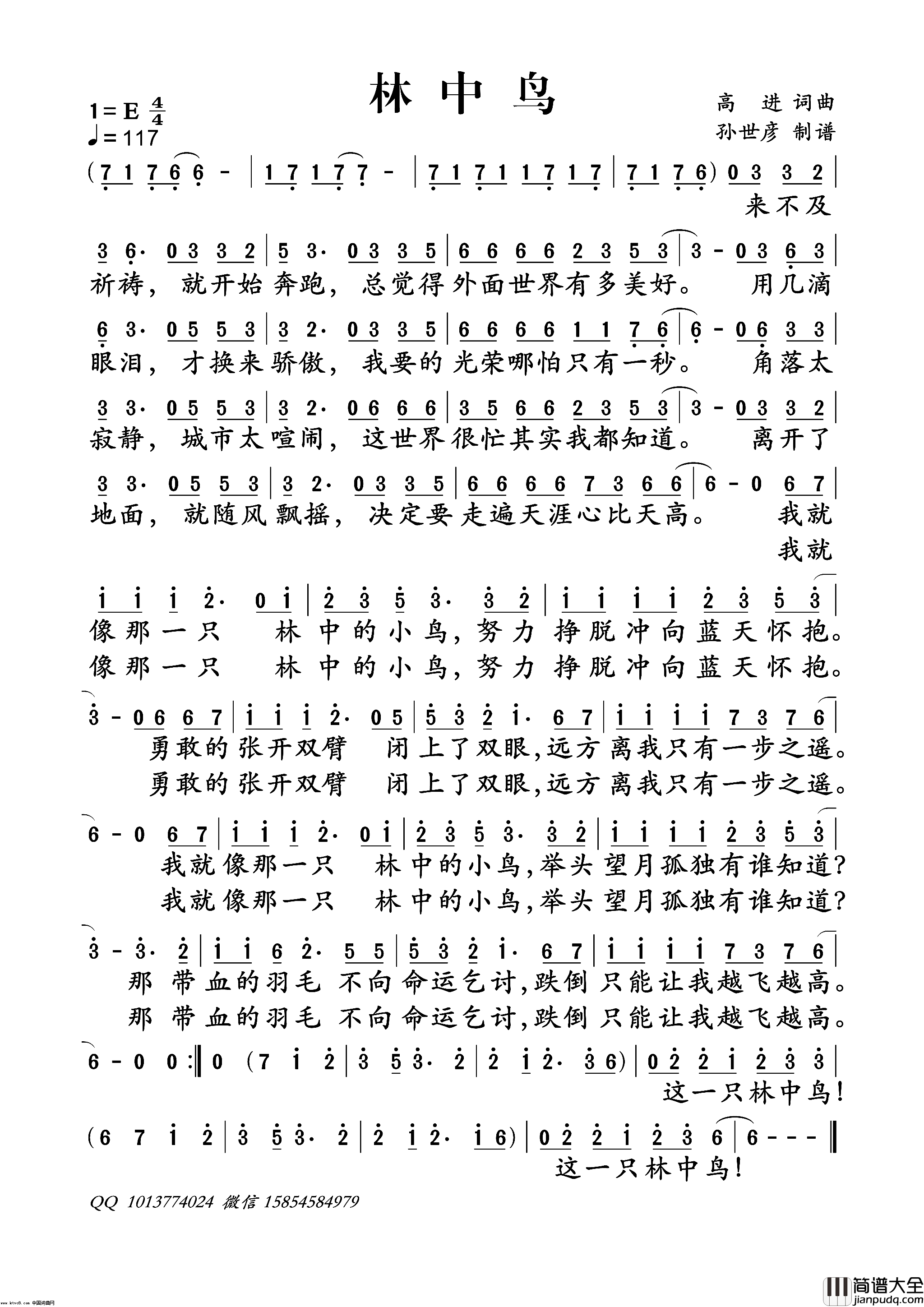 林中鸟简谱