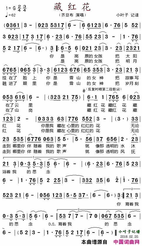 藏红花简谱