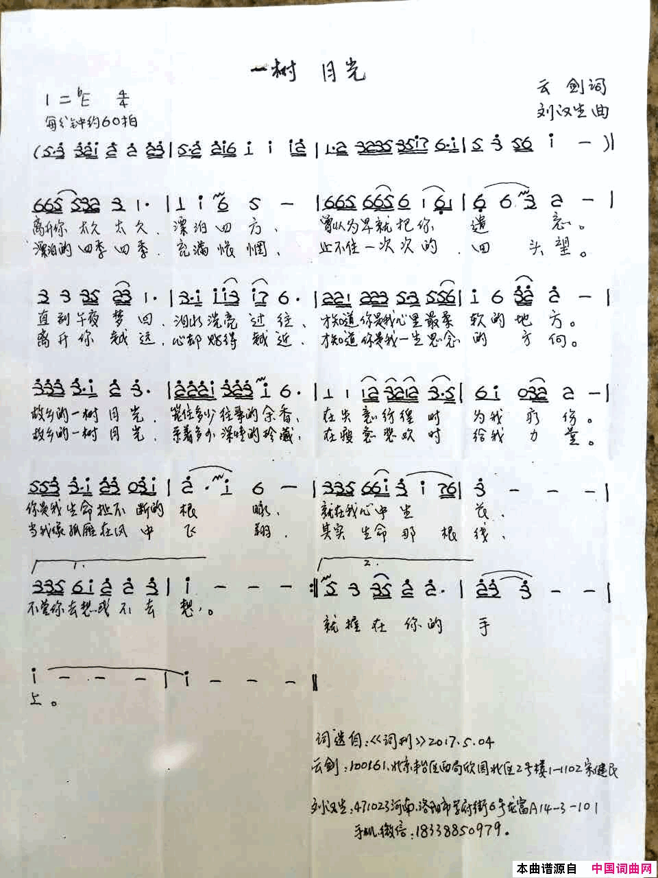 一树月光简谱