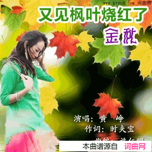 又见枫叶烧红了金秋简谱_黄峥演唱_时夫宝/施仁明词曲