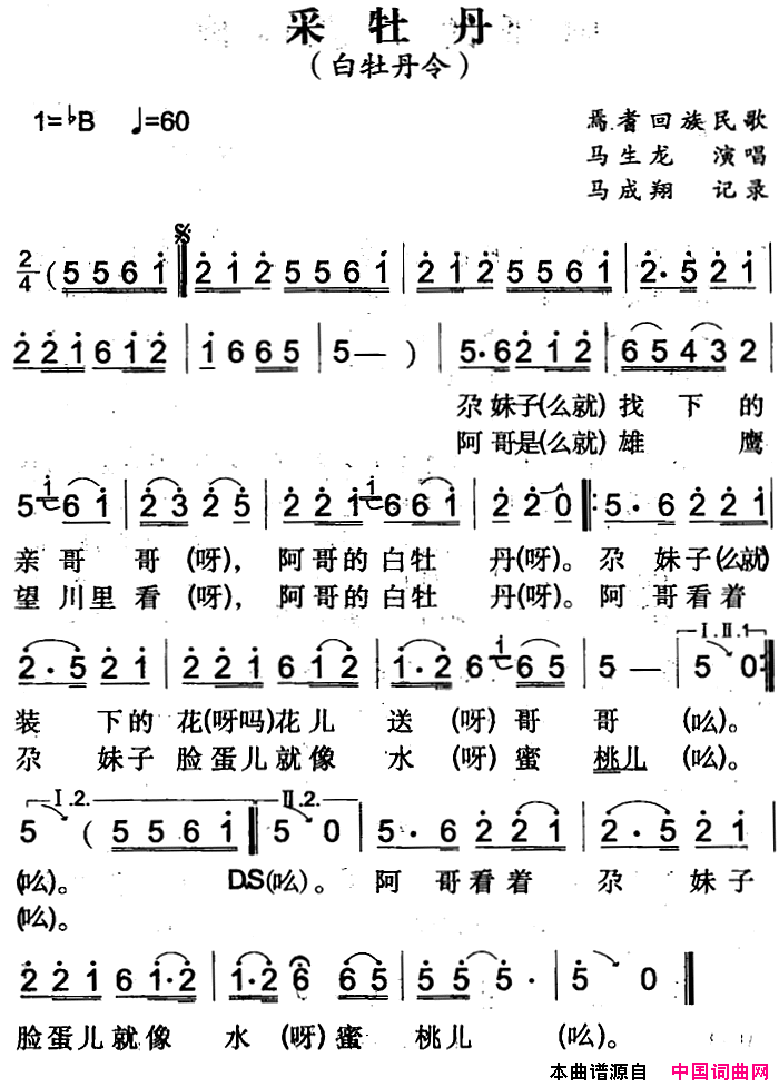 采牡丹焉耆回族民歌简谱