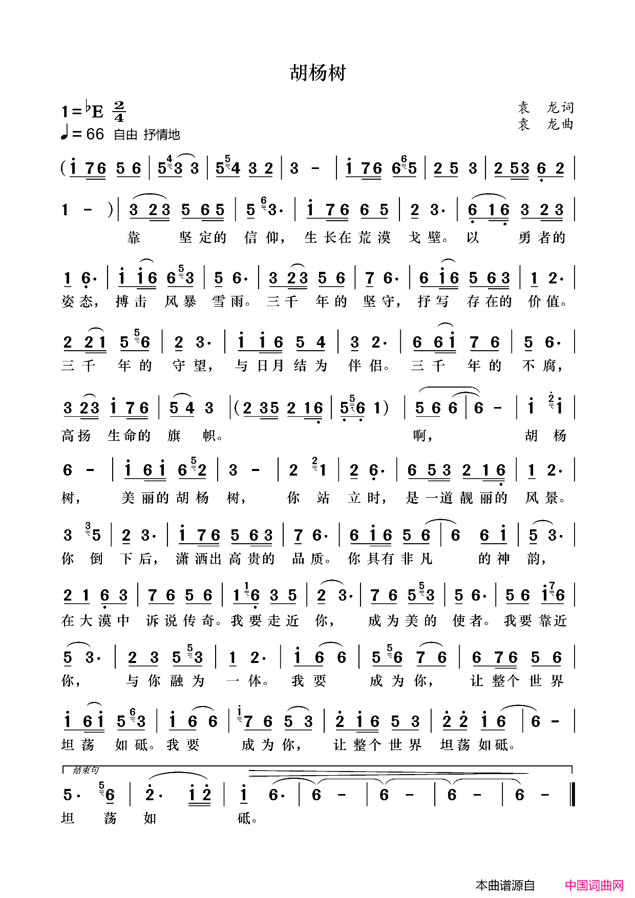 胡杨树简谱