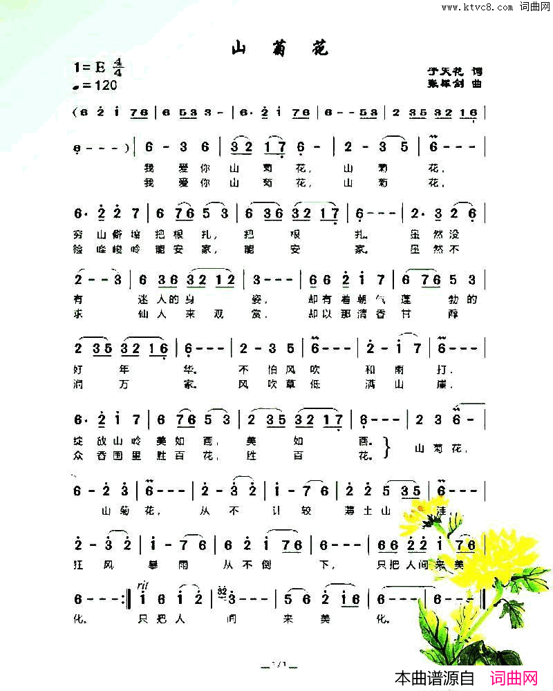 山菊花于天花词张犀剑曲山菊花于天花词_张犀剑曲简谱