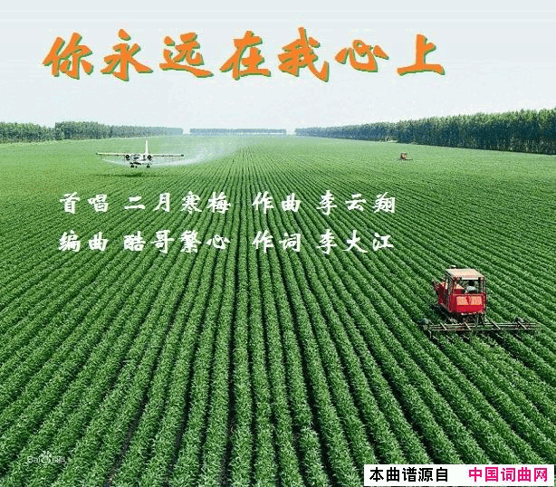 _你永远在我心上_简谱_二月寒梅演唱_李大江/李云翔词曲