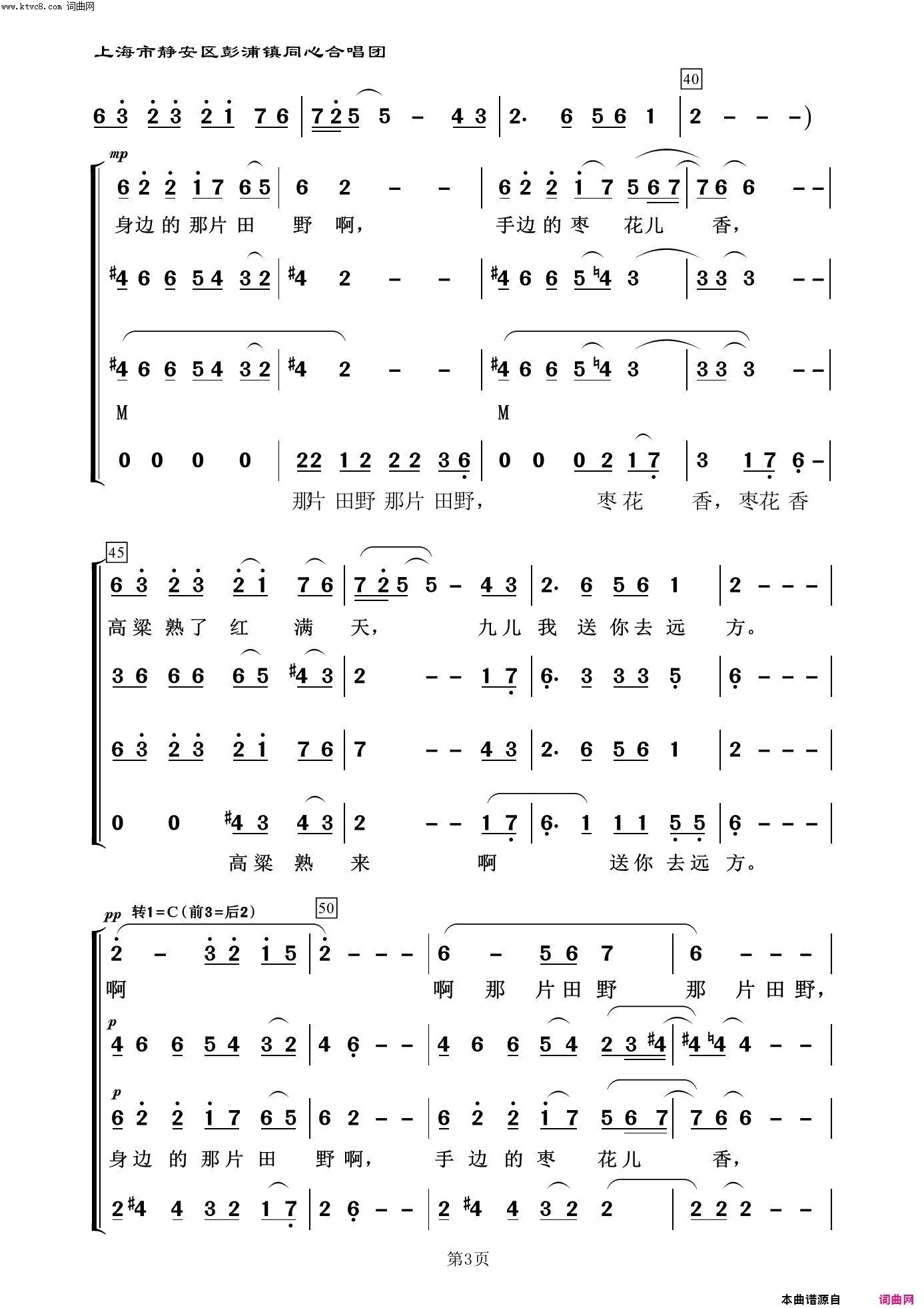 九儿常青放歌二简谱