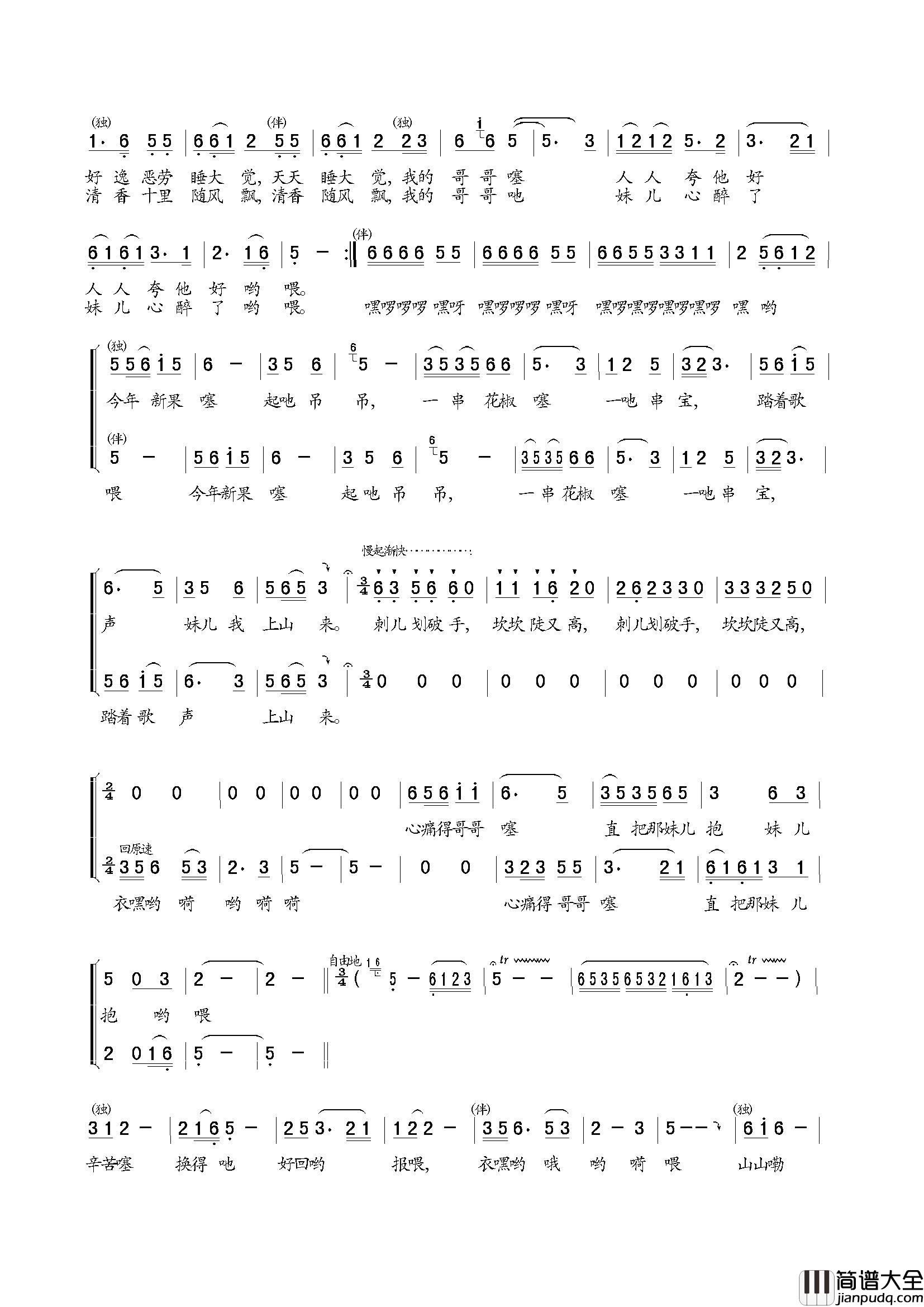 花椒谣简谱_薛叶丹演唱_陈和昭/陈和昭词曲