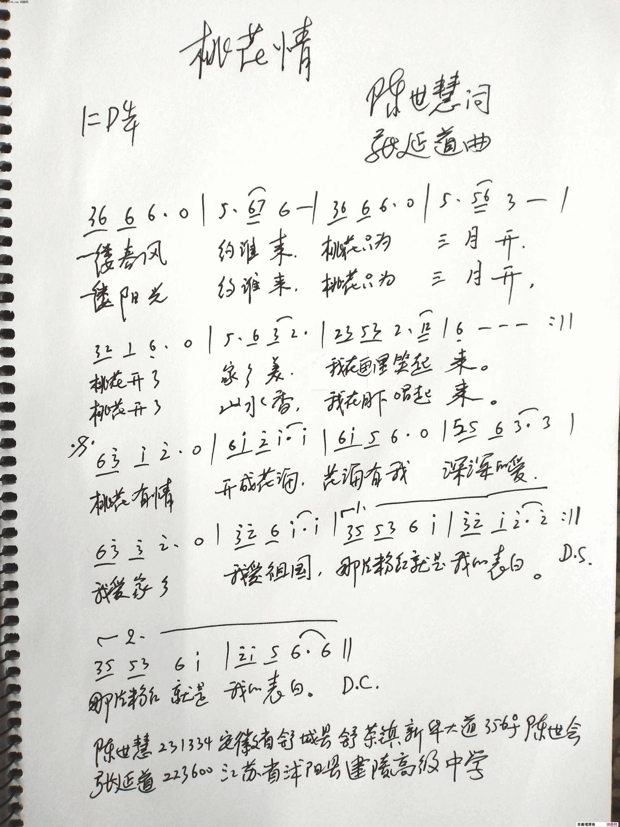 桃花情简谱