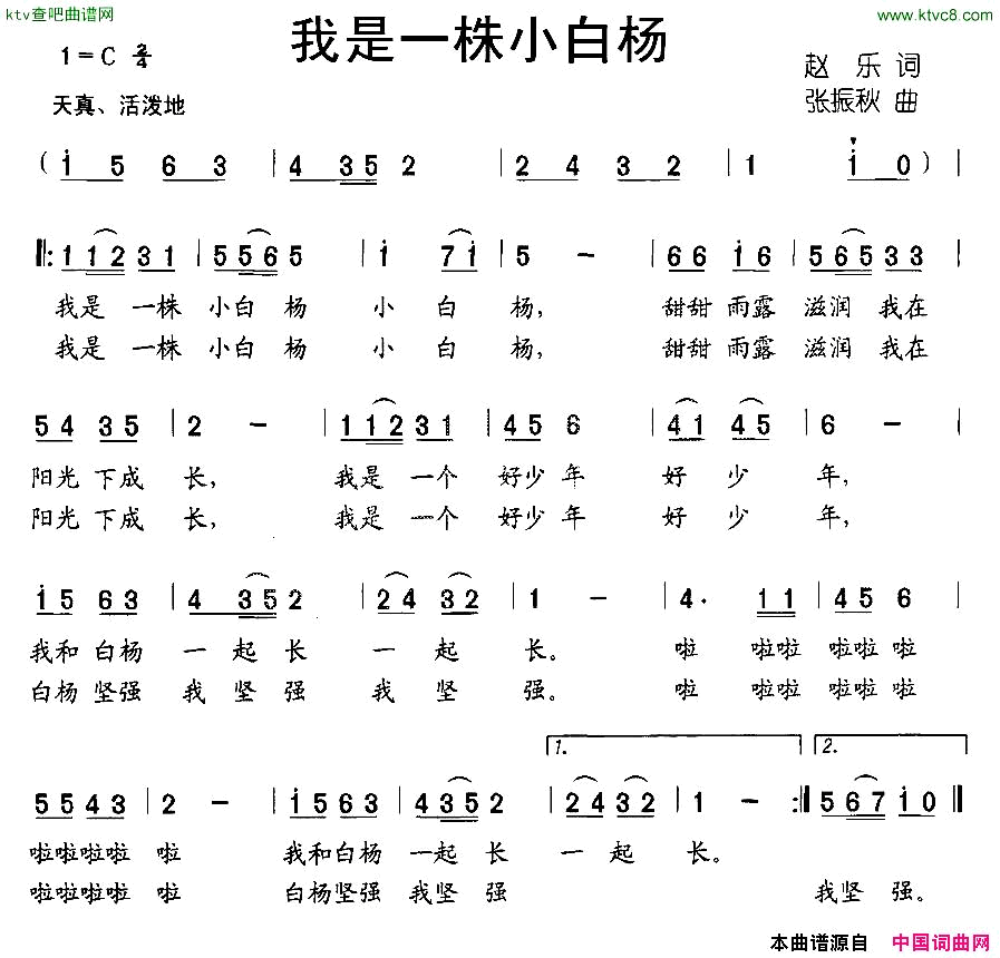 我是一株小白杨简谱
