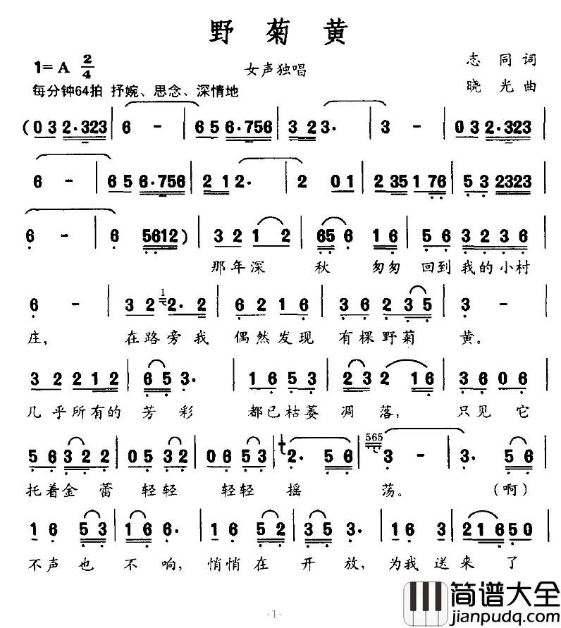 野菊黄简谱_志同词_晓光曲